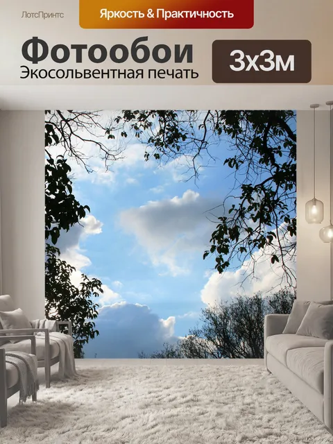 Фотообои листья на фоне неба