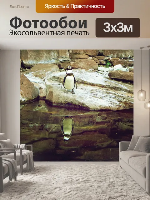 Фотообои Пингвин