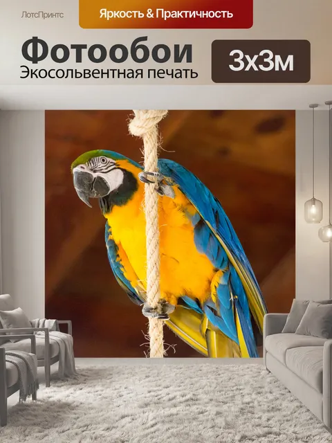 Фотообои Синий и желтый ара