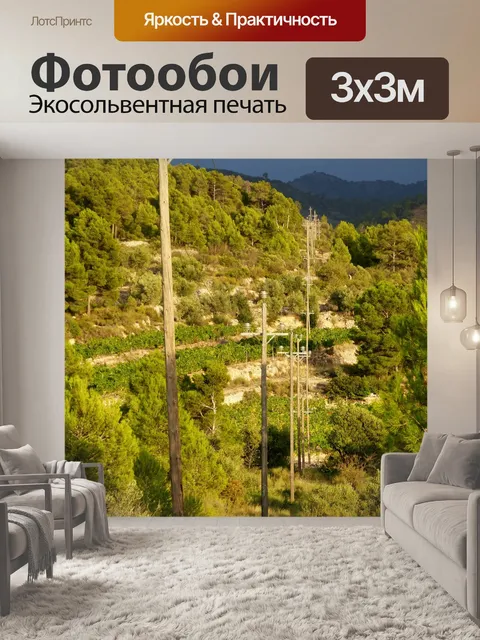 Фотообои Линия электропередачи