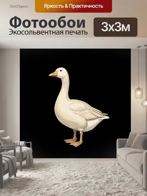 Фотообои Белый гусь на черном фоне