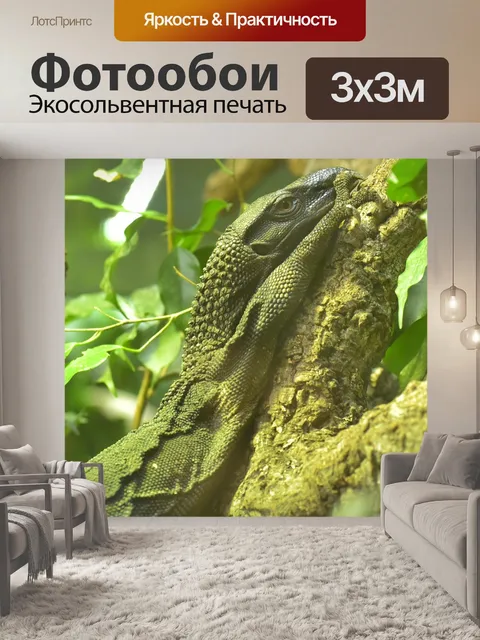 Фотообои Монитор