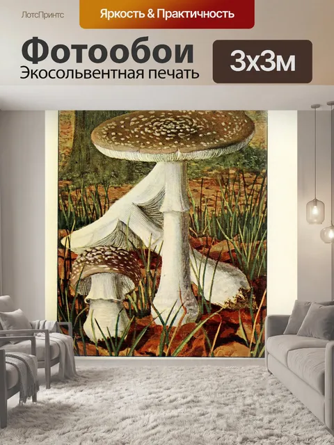 Фотообои Грибы век винтаж старый