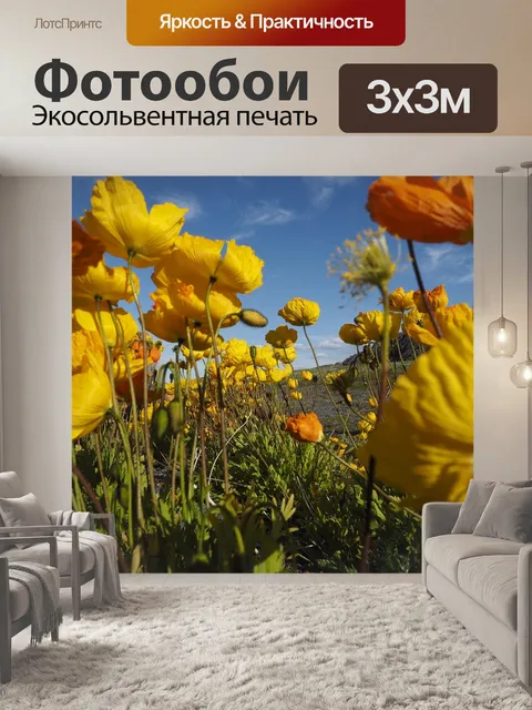 Фотообои Маки