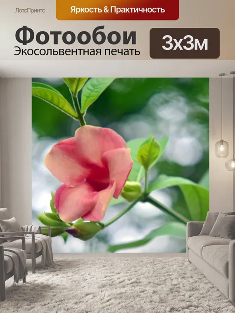 Фотообои Мандевилла цветы 4