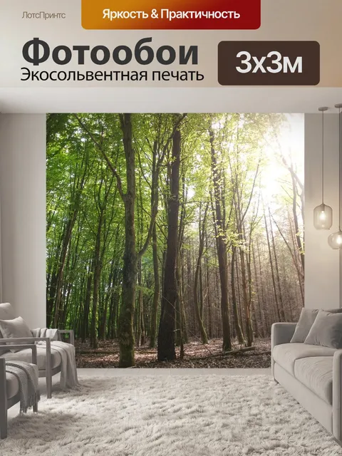Фотообои Лес