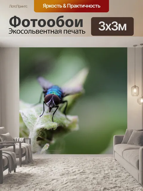 Фотообои Летать