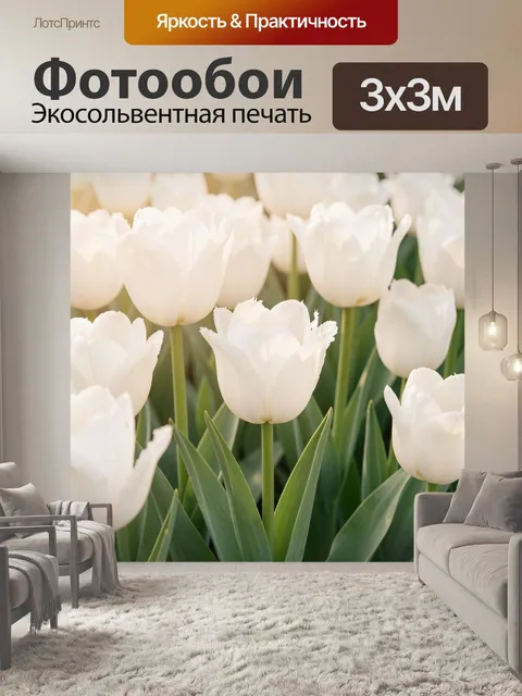 Фотообои Белые тюльпаны крупным планом