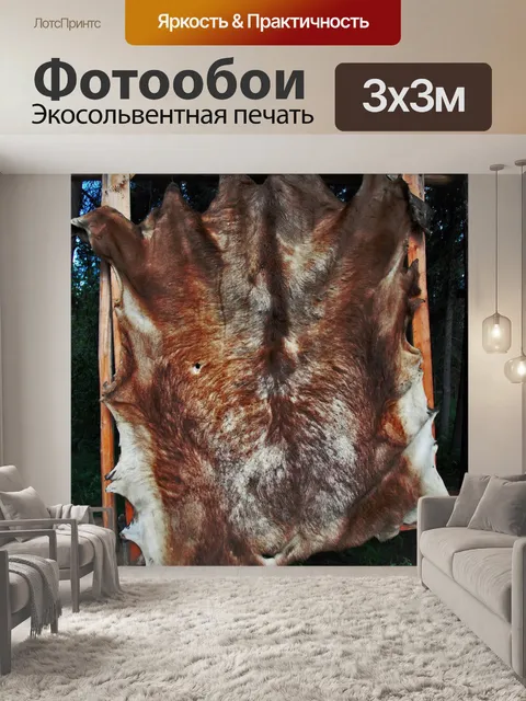 Фотообои Пальто