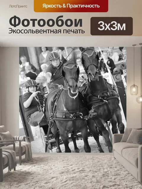 Фотообои Лошадь