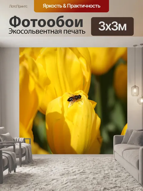 Фотообои Тюльпаны