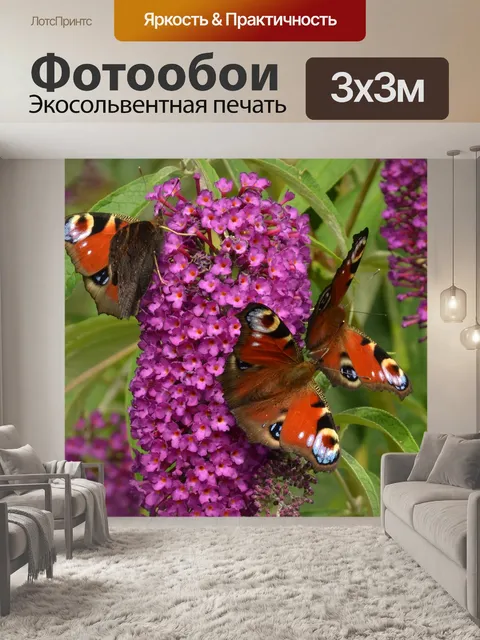 Фотообои Павлиний глаз