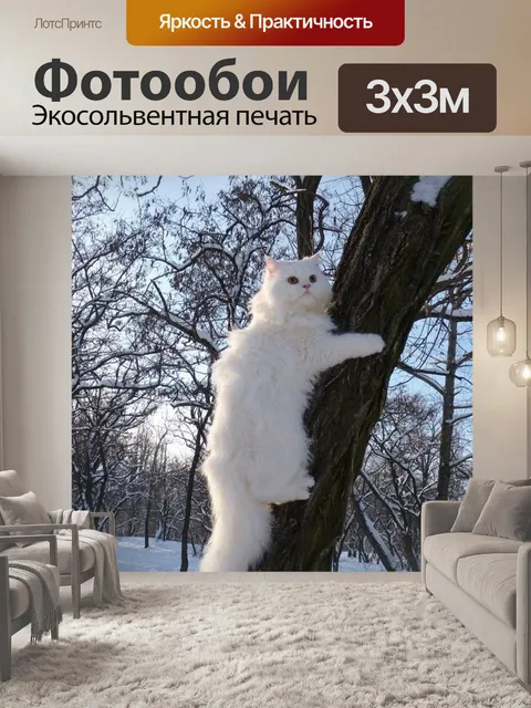 Фотообои Кошка