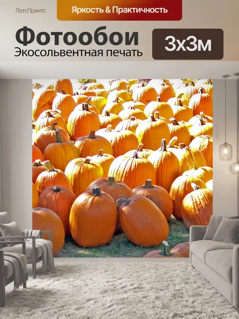 Фотообои Тыквы на продажу