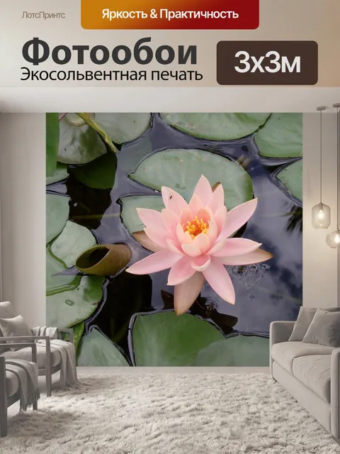 Фотообои Розовая лилия