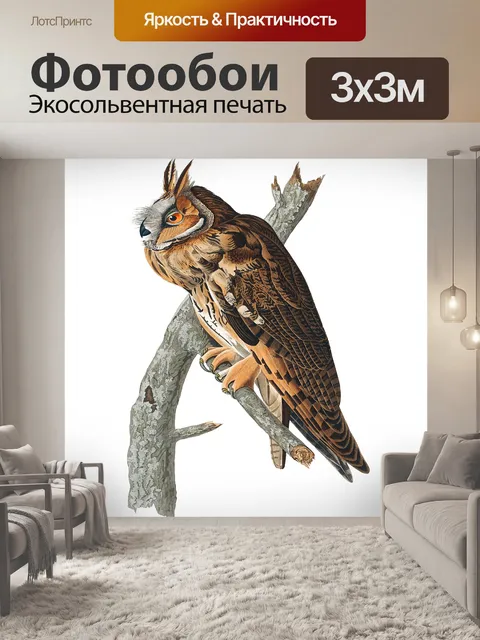 Фотообои Сова винтажный клипарт искусство