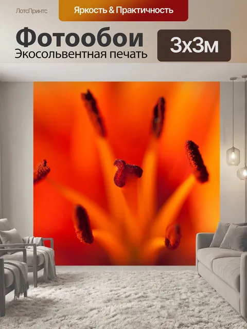 Фотообои Макрос красная лилия
