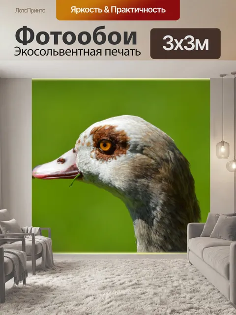Фотообои Нил Гусь и 07 детенышей