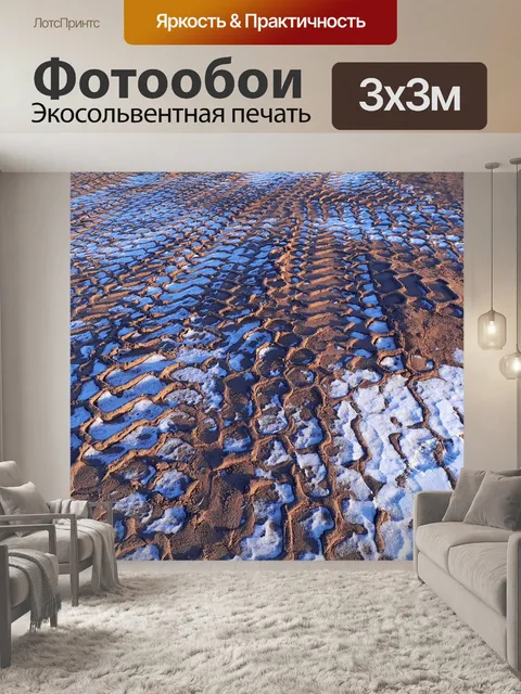 Фотообои Шина треки