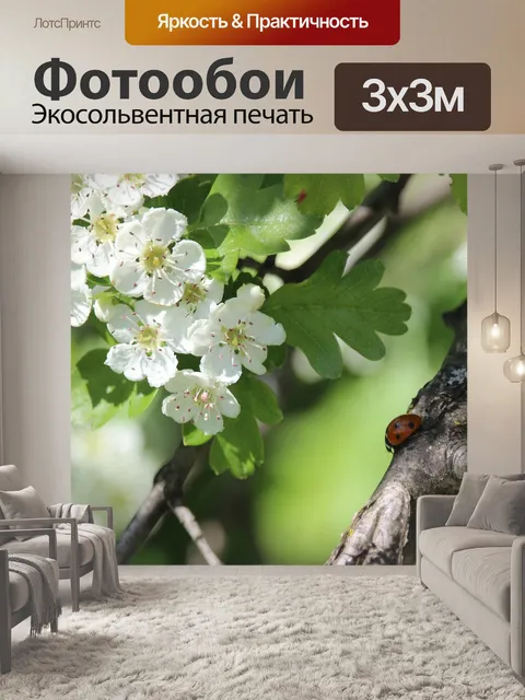 Фотообои Месяц