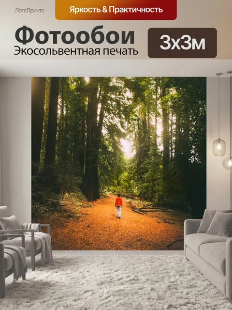 Фотообои Лес