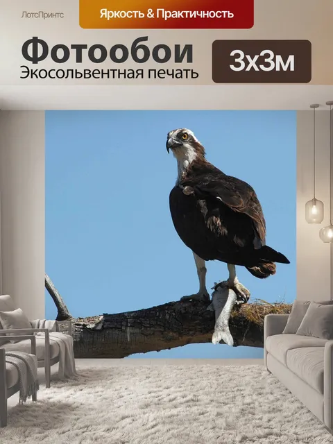 Фотообои Поймать