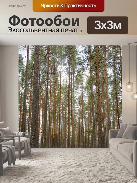 Фотообои Лес