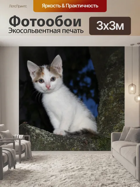 Фотообои Дерево
