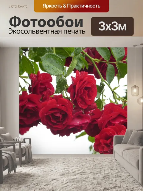 Фотообои Плетистые розы