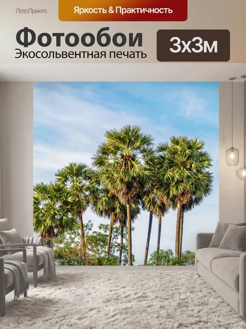Фотообои Сахарная пальма