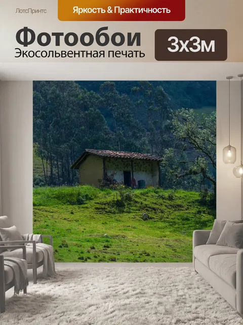 Фотообои Дом
