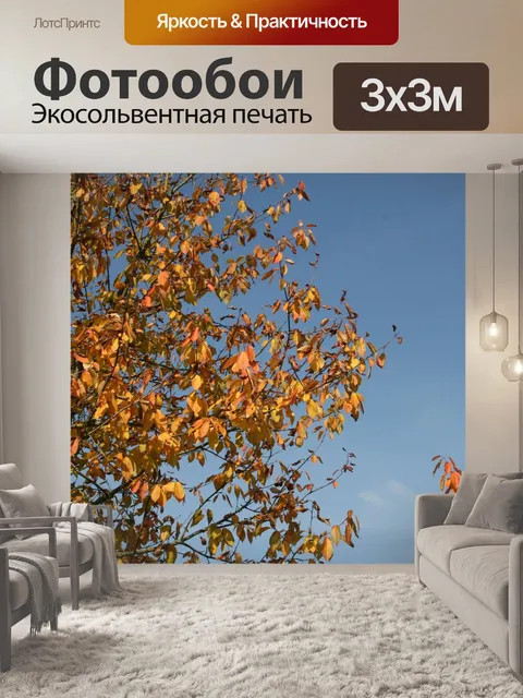 Фотообои Падение