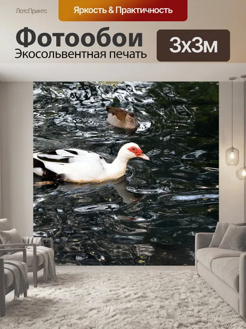 Фотообои Белая утка