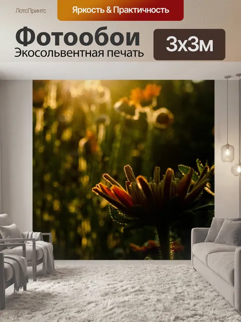 Фотообои Заход солнца