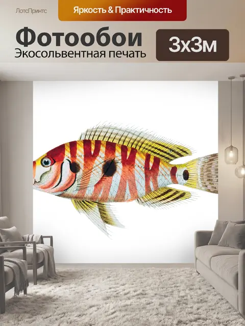 Фотообои Клипарт рыба винтаж нарисованная