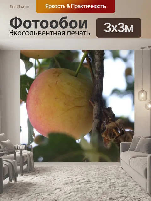 Фотообои Дерево