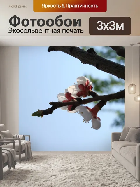 Фотообои фрукты дерево цветет