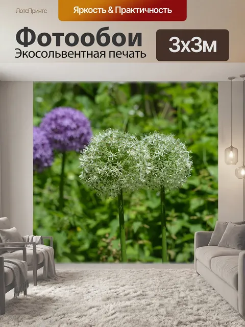 Фотообои Голландские цветы сады 89