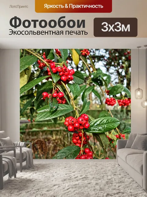 Фотообои Ягоды