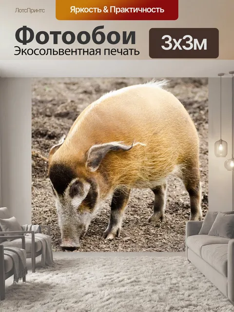 Фотообои Красной реки Боров - животные