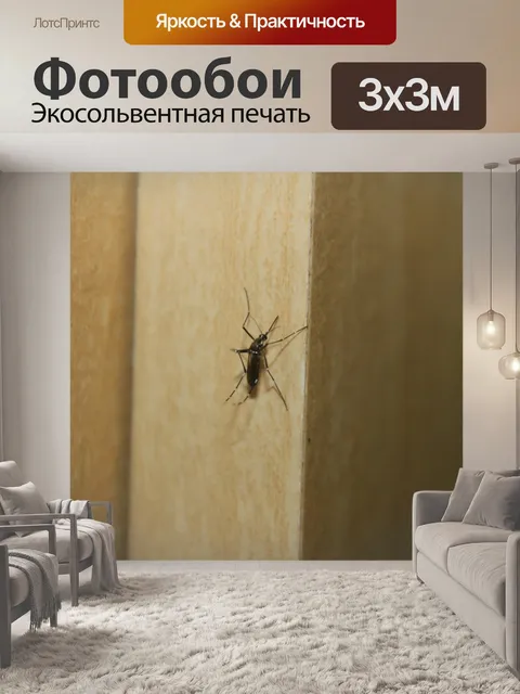 Фотообои Комар