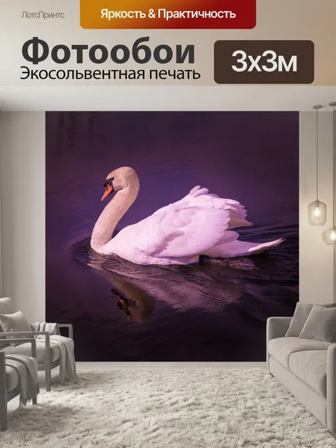 Фотообои Белый лебедь 1