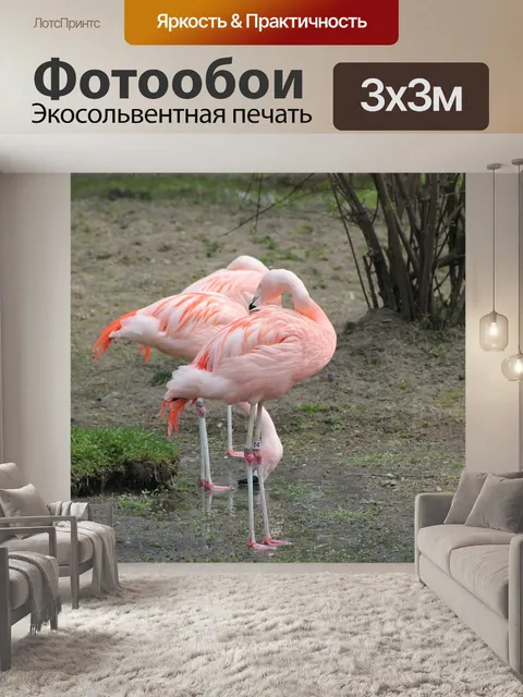 Фотообои Розовый фламинго