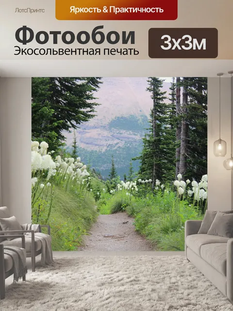 Фотообои Горная тропа