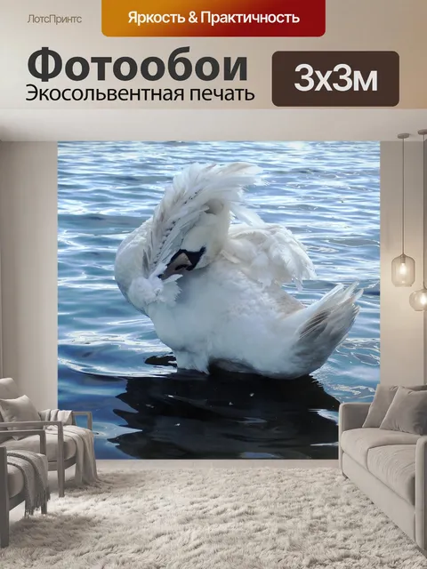 Фотообои Лебедь