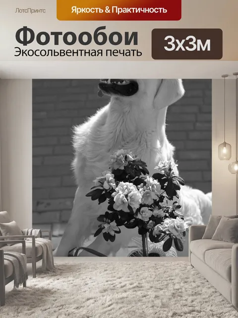 Фотообои Dog
