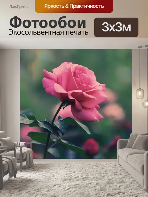 Фотообои Цветок розы