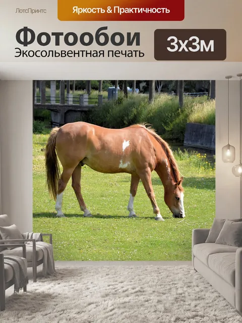 Фотообои Выпас лошадей