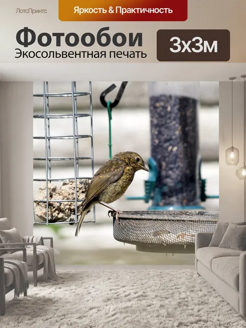Фотообои Садовые птицы