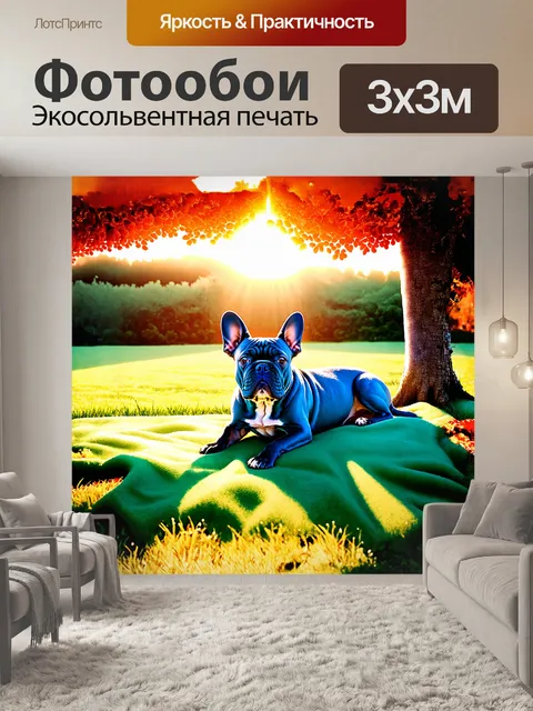Фотообои на фоне яркого восхода солнца синий французский бульдог лениво растянулся на зеленом травяном покрывале